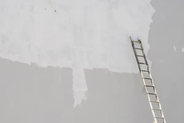 Exterior painting in Savannah: ladder against a freshly primed wall